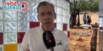 Ganaderos del Tolima enfrentan una crisis por falta de alimento y caída en el precio del ganado