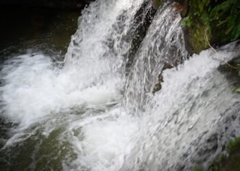 Cortolima invita a legalizar los pozos profundos para garantizar un uso responsable del agua
