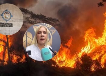 Surtió efecto el llamado de la directora de Cortolima: Procuraduría indaga tala y quema de material vegetal en Dolores en medio de los incendios