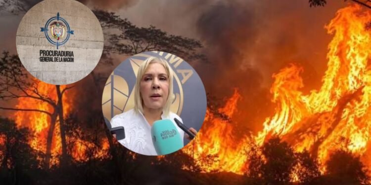 Surtió efecto el llamado de la directora de Cortolima: Procuraduría indaga tala y quema de material vegetal en Dolores en medio de los incendios