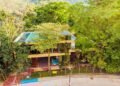 Ibagué necesita más árboles para reducir sus emisiones de CO₂: investigadores de la Universidad del Tolima