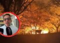 Tres incendios forestales mantienen en alerta al Tolima: Prado, Ortega y Chaparral