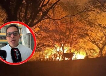 Tres incendios forestales mantienen en alerta al Tolima: Prado, Ortega y Chaparral