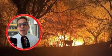 Tres incendios forestales mantienen en alerta al Tolima: Prado, Ortega y Chaparral