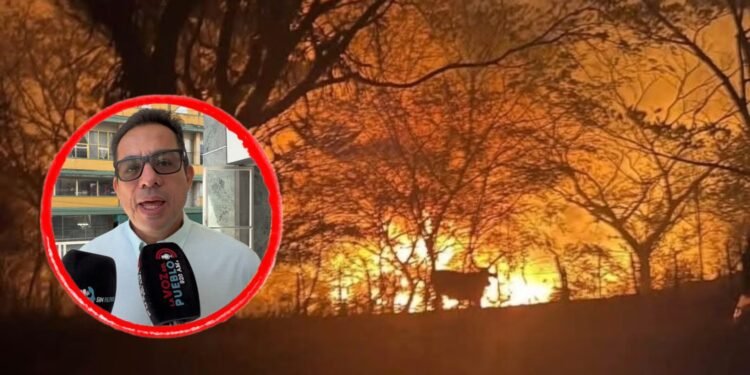 Tres incendios forestales mantienen en alerta al Tolima: Prado, Ortega y Chaparral