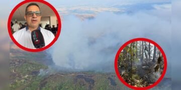 Incendios forestales en el Tolima están superados en un 95%, pero persiste foco subterráneo en Bosque Galilea