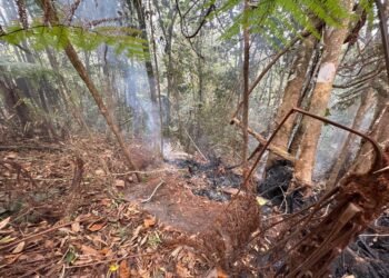 Incendio subterráneo en Galilea: cuatro focos permanecen activos dentro del Parque Natural Regional