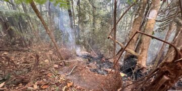 Incendio subterráneo en Galilea: cuatro focos permanecen activos dentro del Parque Natural Regional