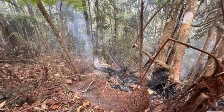 Incendio subterráneo en Galilea: cuatro focos permanecen activos dentro del Parque Natural Regional