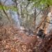 Incendio subterráneo en Galilea: cuatro focos permanecen activos dentro del Parque Natural Regional