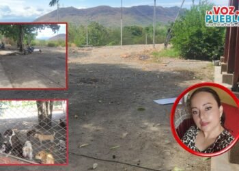 Animalistas cuestionan que cerramiento de la Casa Amiga “se coma” el terreno del albergue en El Espinal