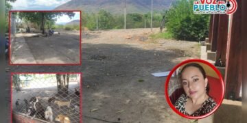 Animalistas cuestionan que cerramiento de la Casa Amiga “se coma” el terreno del albergue en El Espinal