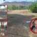Animalistas cuestionan que cerramiento de la Casa Amiga “se coma” el terreno del albergue en El Espinal