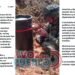 “Disidencias de las FARC habrían robado 41 cilindros de gas en zona rural de Rioblanco” Gobernadora Adriana Magali Matiz