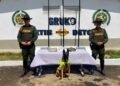 Canino Rex detectó 504 gramos de marihuana en una encomienda en Ibagué