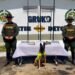 Canino Rex detectó 504 gramos de marihuana en una encomienda en Ibagué