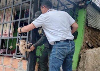 Rescataron a perrito que permanecía amarrado a la reja de una casa