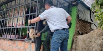 Rescataron a perrito que permanecía amarrado a la reja de una casa