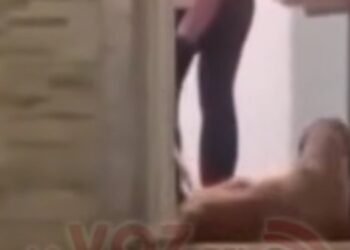 CAPA verifica caso de presunto maltrato animal en Villa Restrepo