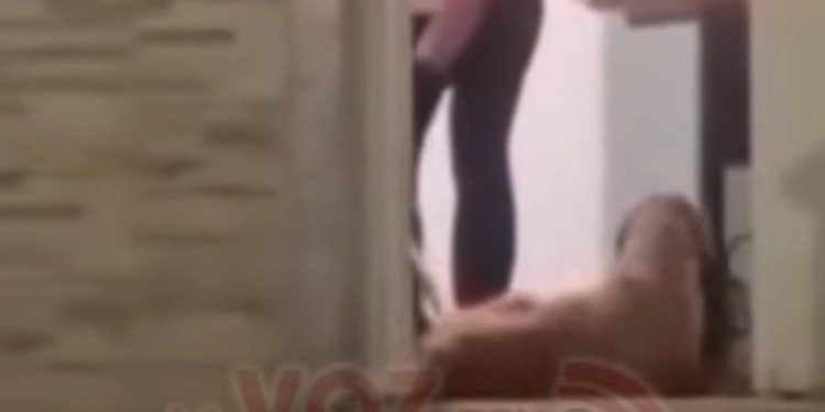 CAPA verifica caso de presunto maltrato animal en Villa Restrepo