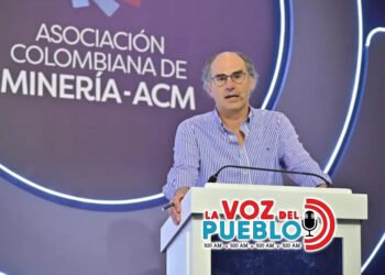 “El Tolima no puede quedarse con la minería ilegal”: presidente de la Asociación Colombiana de Minería