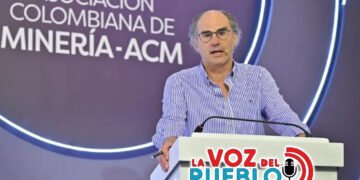 “El Tolima no puede quedarse con la minería ilegal”: presidente de la Asociación Colombiana de Minería
