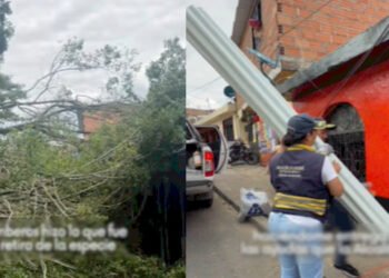 Dirección de Gestión del Riesgo atendió vivienda afectada por caída de árbol en Las Brisas