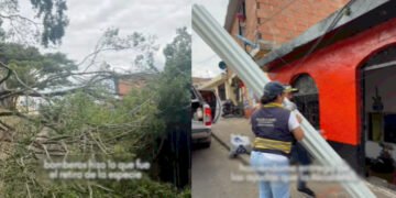 Dirección de Gestión del Riesgo atendió vivienda afectada por caída de árbol en Las Brisas