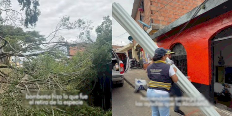 Dirección de Gestión del Riesgo atendió vivienda afectada por caída de árbol en Las Brisas