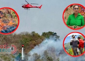 Incendios abren la puerta a alivios para créditos de productores del Tolima