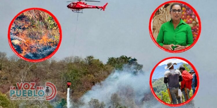 Incendios abren la puerta a alivios para créditos de productores del Tolima