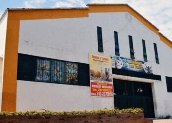 Sacerdote explica excomunión a un hombre por entregar una hostia a un perro