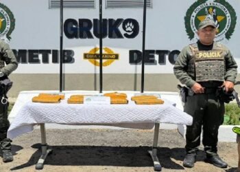 Incautaron casi ocho kilos de marihuana en una encomienda enviada desde Cali a Ibagué