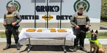Incautaron casi ocho kilos de marihuana en una encomienda enviada desde Cali a Ibagué