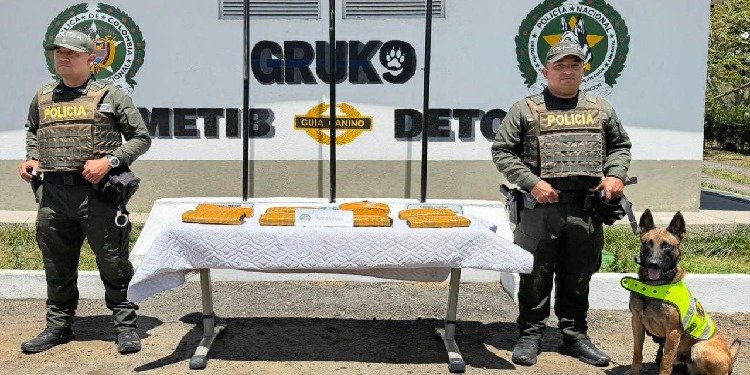 Incautaron casi ocho kilos de marihuana en una encomienda enviada desde Cali a Ibagué