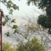 Comunidad de Payandé pide ayuda aérea para controlar incendio forestal