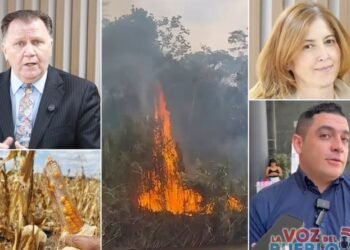 PepsiCo podría convertirse en el salvavidas de la cosecha de maíz del Tolima en medio de la crisis climática