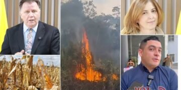 PepsiCo podría convertirse en el salvavidas de la cosecha de maíz del Tolima en medio de la crisis climática
