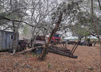Incendio forestal llegó a Curalito y Bomberos de Ibagué trabajan para proteger viviendas
