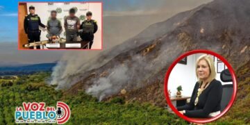 Funcionario de Cortolima involucrado en presuntas quemas controladas y tala ilegal en Dolores