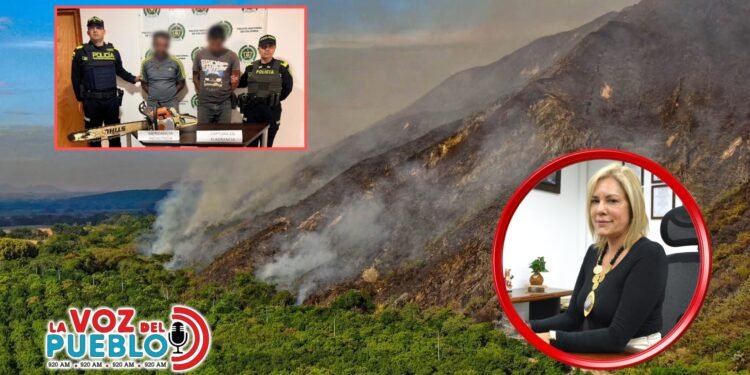 Funcionario de Cortolima involucrado en presuntas quemas controladas y tala ilegal en Dolores