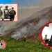 Funcionario de Cortolima involucrado en presuntas quemas controladas y tala ilegal en Dolores
