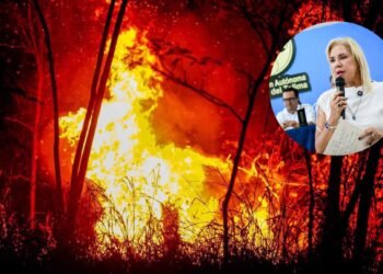 Hasta 12 años de cárcel podrían enfrentar quienes provoquen incendios forestales