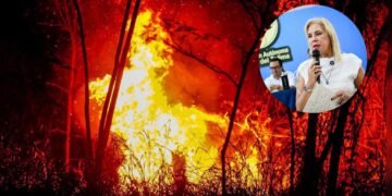 Hasta 12 años de cárcel podrían enfrentar quienes provoquen incendios forestales