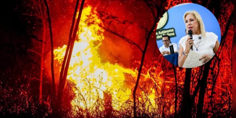 Hasta 12 años de cárcel podrían enfrentar quienes provoquen incendios forestales