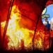 Hasta 12 años de cárcel podrían enfrentar quienes provoquen incendios forestales