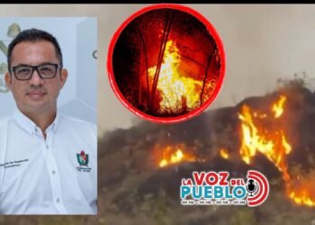 Llegará apoyo aéreo para apagar el incendio forestal en Payandé