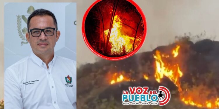 Llegará apoyo aéreo para apagar el incendio forestal en Payandé