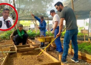 “El café ya se está muriendo”: alcalde de Anzoátegui alerta por pérdidas agrícolas ante el intenso verano