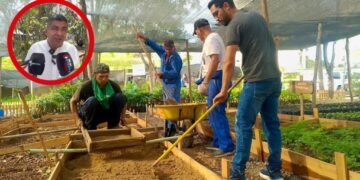 “El café ya se está muriendo”: alcalde de Anzoátegui alerta por pérdidas agrícolas ante el intenso verano